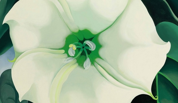 Georgia O’Keeffe, Jimson Weed/White Flower No. 1 (1932), Sotheby’s American Art sale on November 20, 2014. (Sotheby’s New York) 