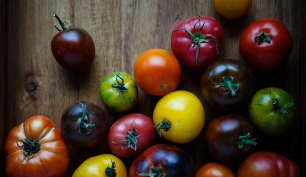 Help them eat the rainbow with these plant-based tips. Photo: Vince Lee