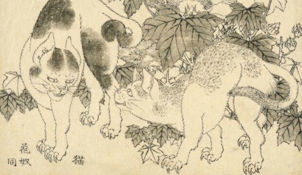Hokusai: The Great Picture Book of Everything, British Museum