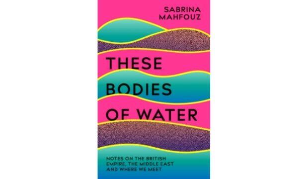 These Bodies of Water, by Sabrina Mahfouz 