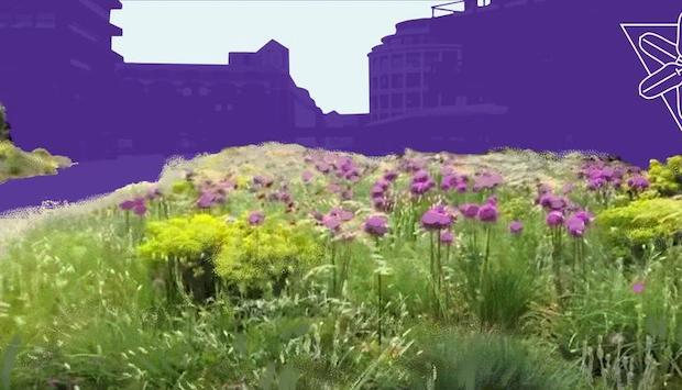 Queer Botany: A Guided Tour of the Barbican 
