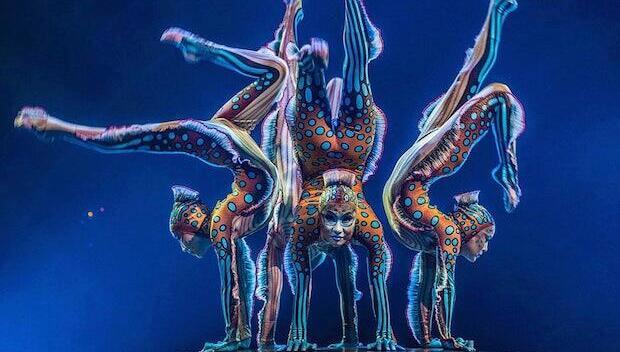 Marvel at Cirque du Soleil's Kurios 