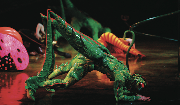 Crickets: OVO, Cirque du Soleil, Royal Albert Hall. 