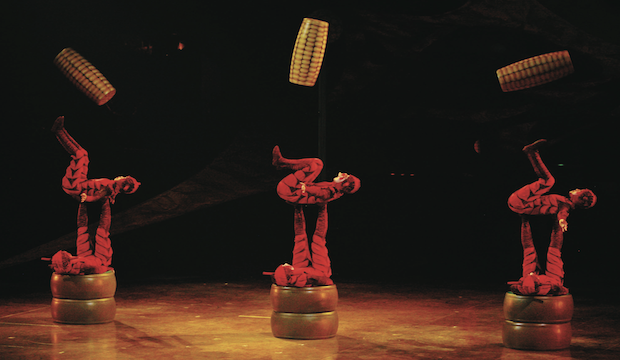 Fleas: Ovo, Cirque du Soleil, Royal Albert Hall. 
